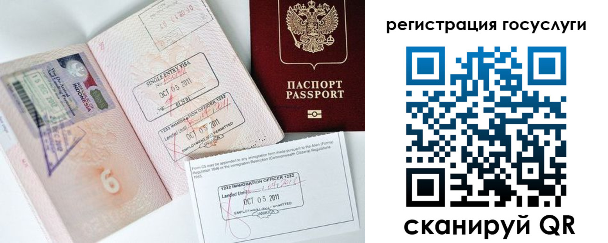 прописка в Волосово